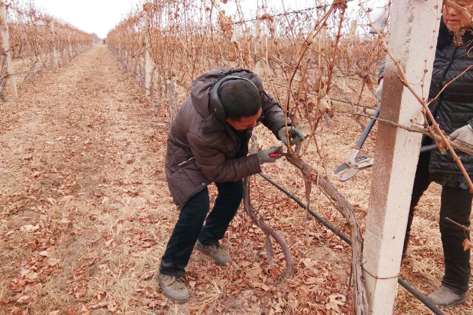 15507987472159.jpg 8.jpg