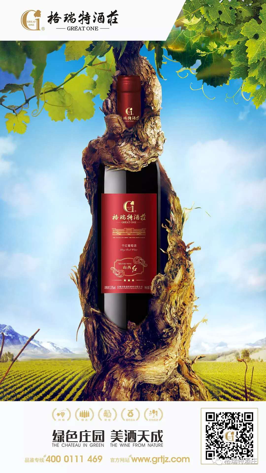 15540812385311.jpg 765708056169705864.jpg