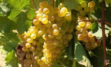 15711904514224.jpg t01c12ab91c4df6b3f5.jpg