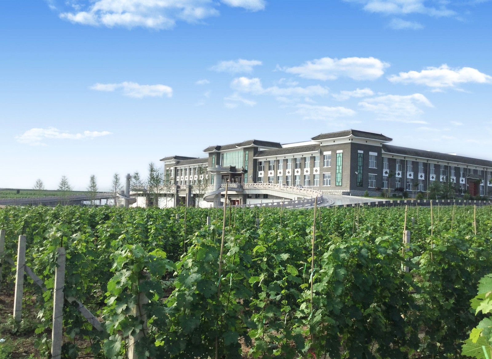 15712810506333.jpg 2.jpg