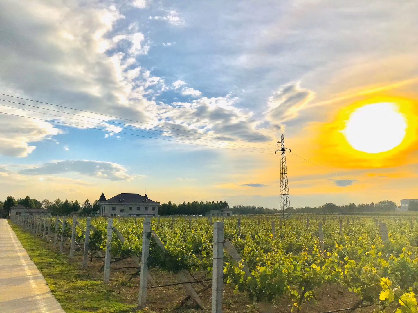 16033300806941.jpg 7b170b490b5a980f85ffa65acd3bb39.jpg