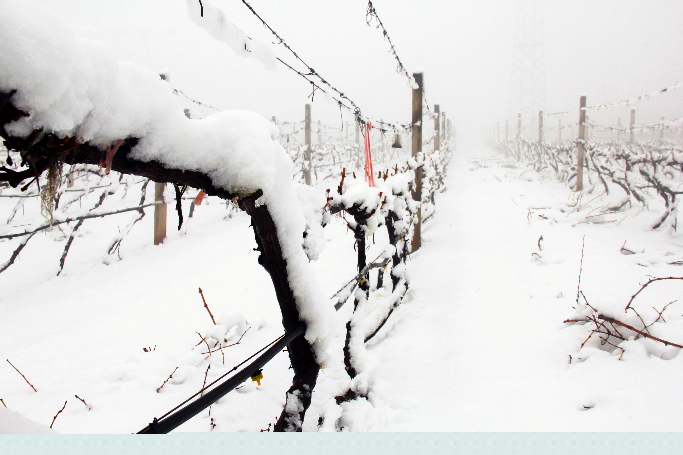 瑞雪兆豐年 ▎時光正好，歲月極美，何必覓遠方