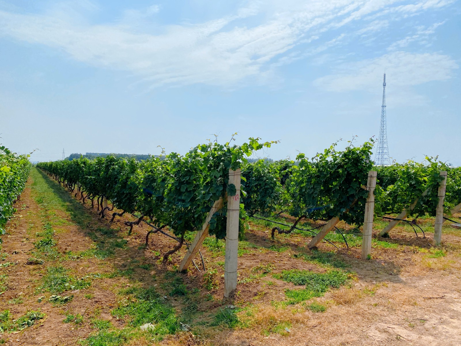 16228548359382.jpg 微信圖片_20210604091444.jpg