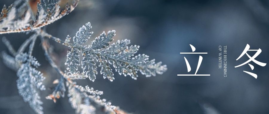 立冬 ▎朔風(fēng)始起，萬物境藏