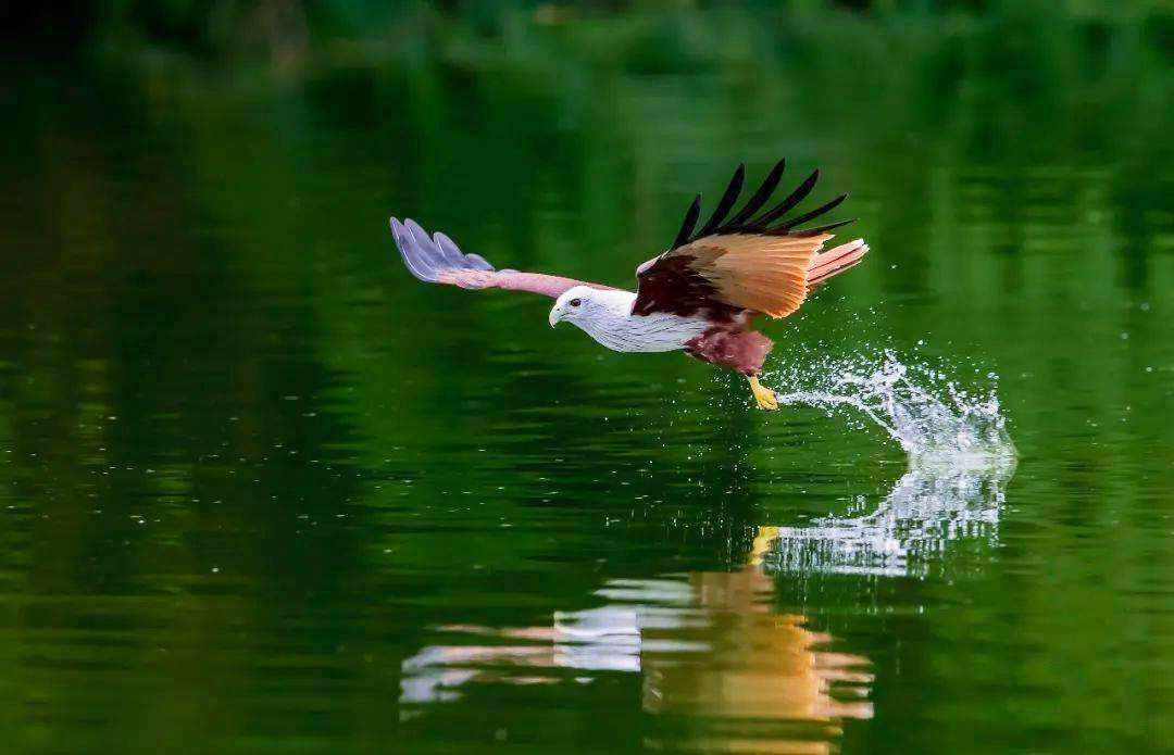 16571862883332.jpg 870824b8fae65df35d35bb4260702aa6.jpg