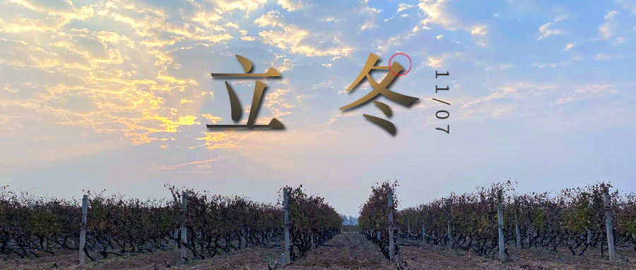 立冬 ▎四時(shí)有序，天地歸藏