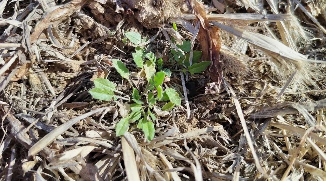 17114233338380.jpg e5f1680f30d975606c6ad76c5e899a46.jpg