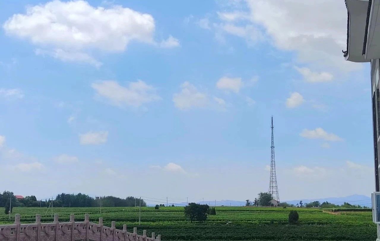 17206860819436.jpg b6751b8ebd2eb281281f8446388ac90f.jpg