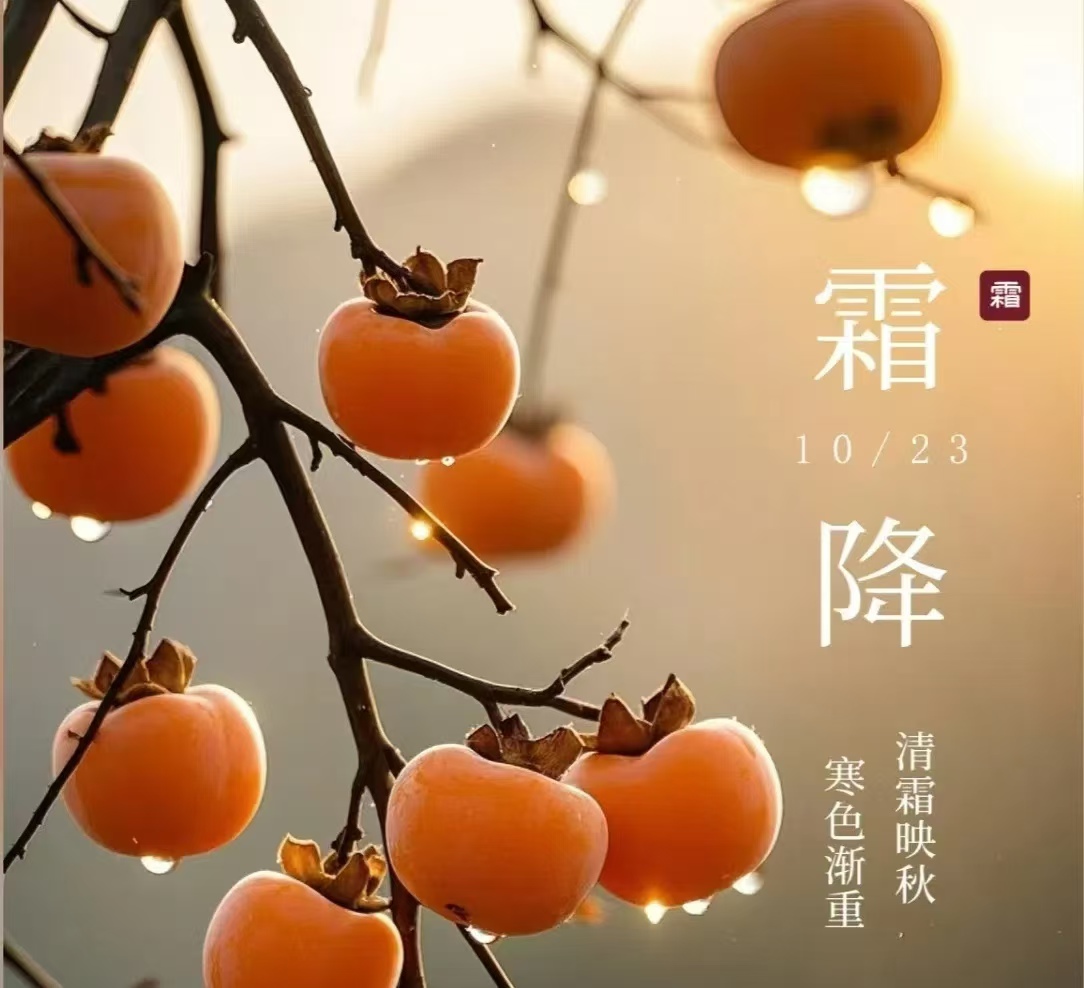 霜降||人間至此秋色盡，草木搖落露為霜